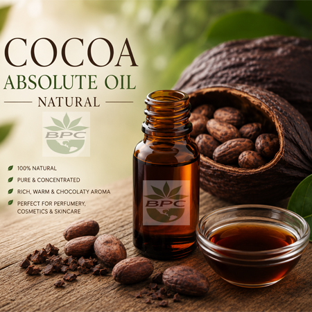 Cocoa Absolute Oil